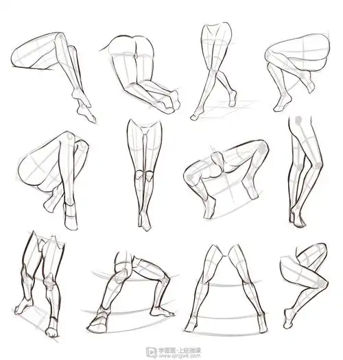 日系厚涂之腿部肌肉的透视关系