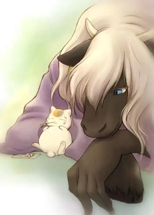 夏目友人帐~娘口先生