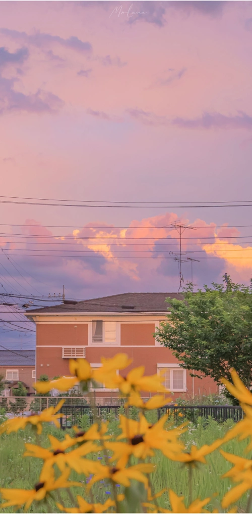 一组超干净的配图_软文文案-商业新知