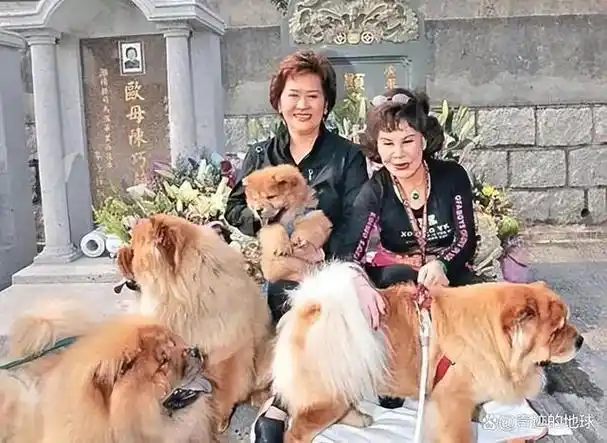 三女共侍一夫,每周只休息一天?娱圈"败家子"的瓜!