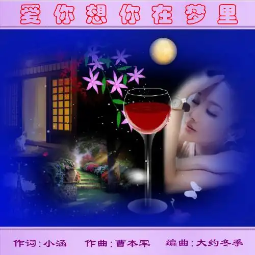 今晚与歌友们同享才女小元宝美女姐姐与周伟老师精彩合作的《爱你想你