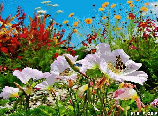 《竹榭名苑》第九期同题～《玉蝴蝶》次韵(依韵)柳永