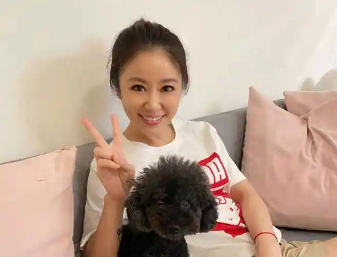 林心如新剧官宣!