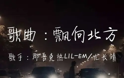 力与美的结合《飘向 北方》那吾克热lil-em/尤长靖