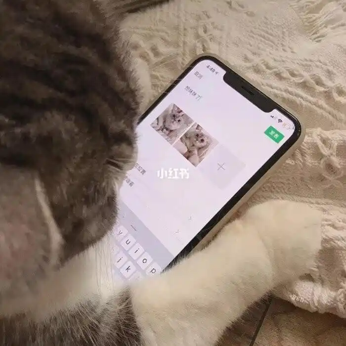 萌宠情侣头像第一弹