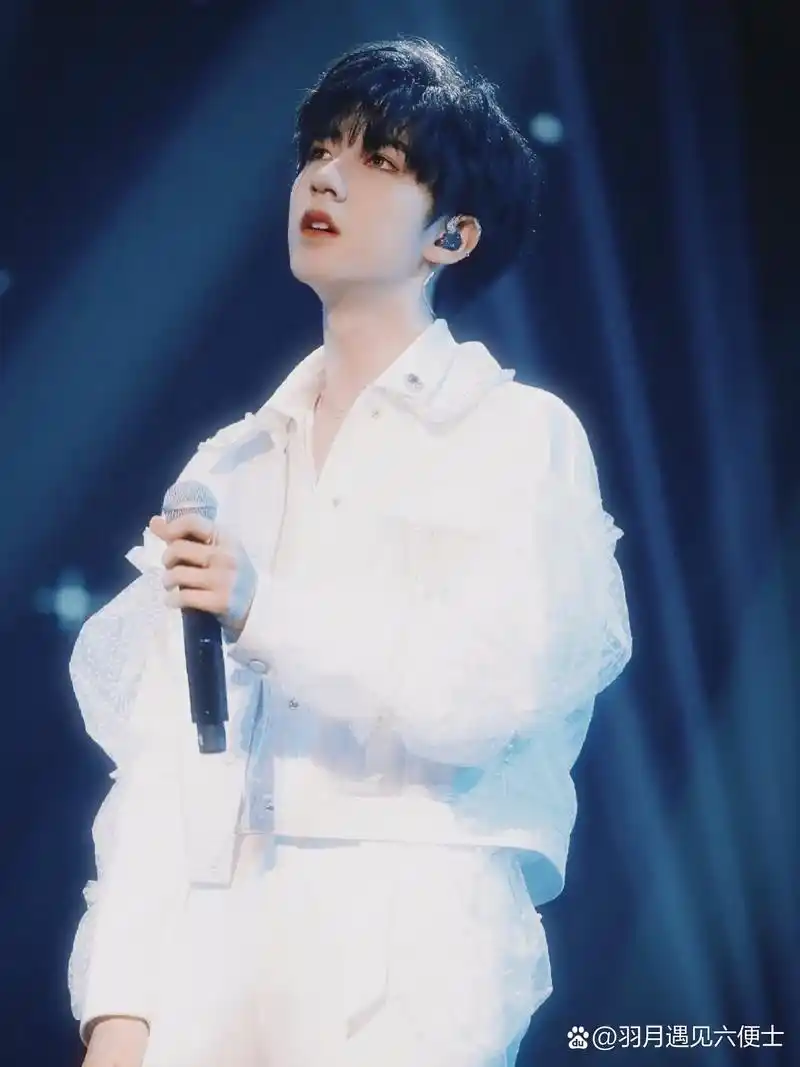 tnt贺峻霖个人简介|兔子少年,人间的四月天 贺峻霖,2004年6月15日出生