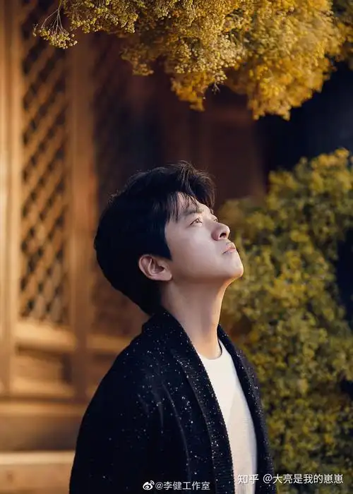 有没有李健老师好看的照片