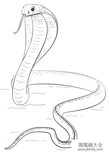 如何画一条眼镜王蛇