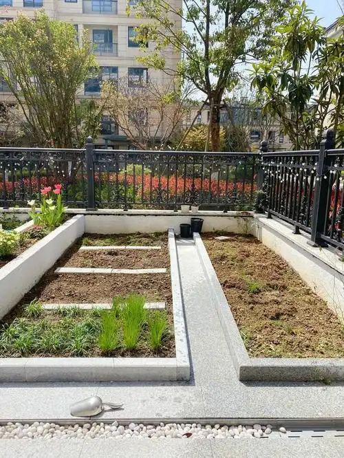 看房3年,买了一楼带院的房子,羡慕煞高层电梯房的业主了