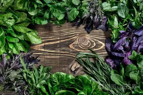 各种新鲜的有机草本在木质背景.新鲜收获的草药, 包括罗勒, 芝麻菜.