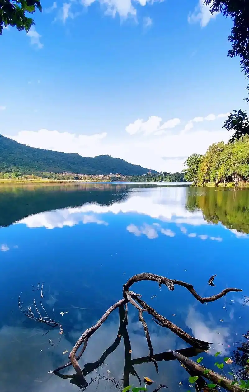 走进西盟龙潭公园,感受大自然的魅力.这里有清新的空气