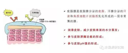 new in丨1秒画皮重建皮脂膜,纹理修复清晰可见——皮脂膜修复面纱霜