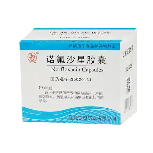 诺氟沙星胶囊