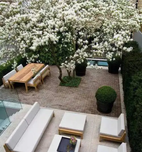 一楼带院子美炸天的设计