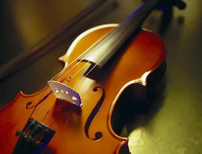 北京弦乐演出,为您提供优质服务