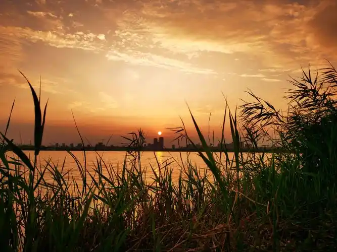 你的手机里有哪些自己拍的真实的风景照? - 知乎