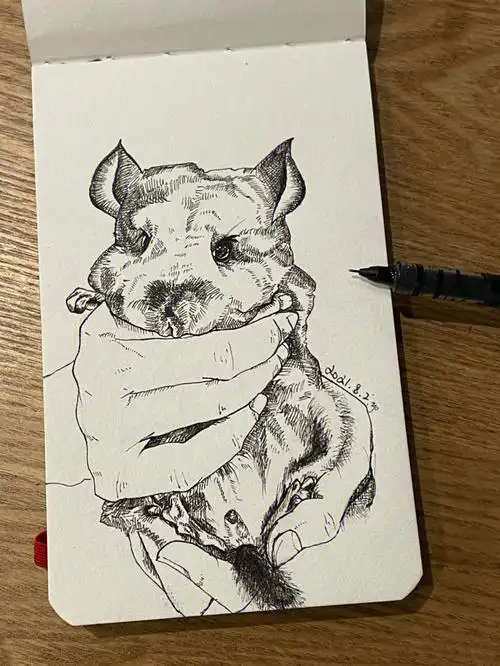 黑白线条龙猫随手手绘插画分享