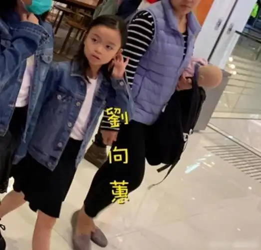 女儿看心脏科,朱丽倩陪同已入院两天,老来得子风险大|贾玲|刘向蕙