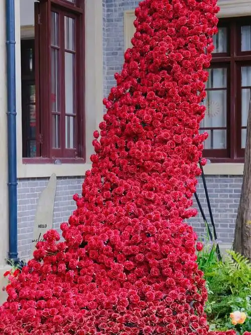 艾特你喜欢的人来看玫瑰花#浪漫  #玫瑰  #玫瑰瀑布  #治愈系风景