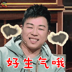 饭局的诱惑 胡彦斌 好生气哦 soogif soogif出品