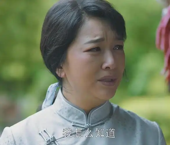 播2集,收视率破2,年代剧《但愿人长久》成两大卫视"大王炸"|江珊|吕一