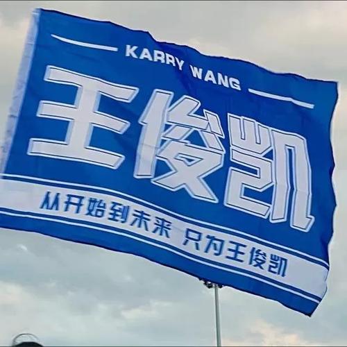 王俊凯应援大旗应援旗时代少年团定制后援团饭制大旗演唱会手摇旗
