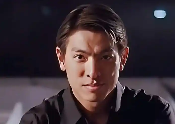 华哥风采:刘德华的经典魅力与动作