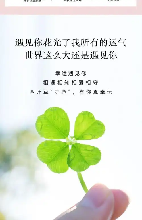 999项链女2021年新款锁骨链四叶草吊坠生日情人节礼物送女友项链天空