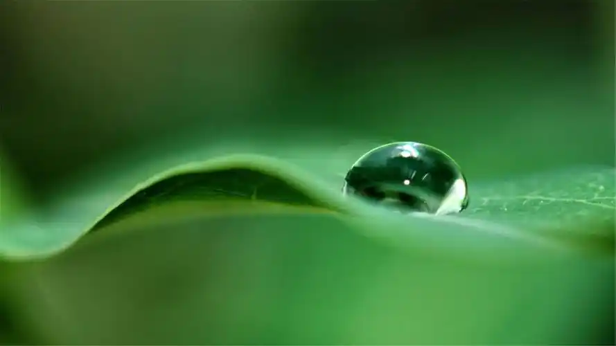 82张护眼电脑桌面壁纸尺寸(1920x1080)适合任何电脑尺码,全是以绿色