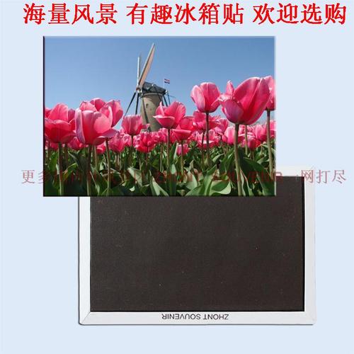 卡通荷兰旅游纪念品 郁金香 风车 风景磁性冰箱贴 创意旅游纪念品