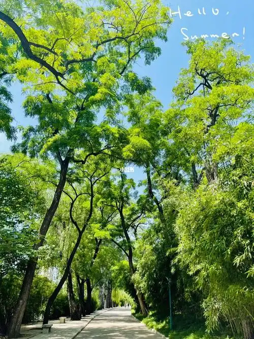 玉渊早午明明亮亮