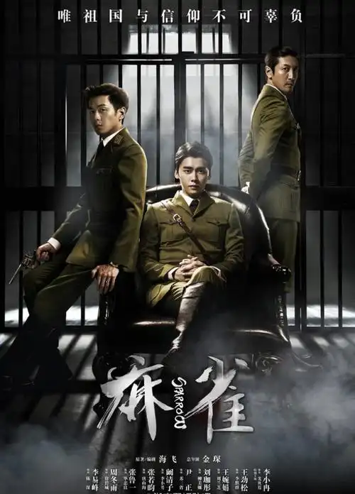 那些热情洋溢的青春岁月伪装者解密麻雀