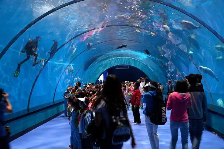 刷爆了 | 兰州极地海洋世界夜场震撼来袭,惊喜门票无限送!