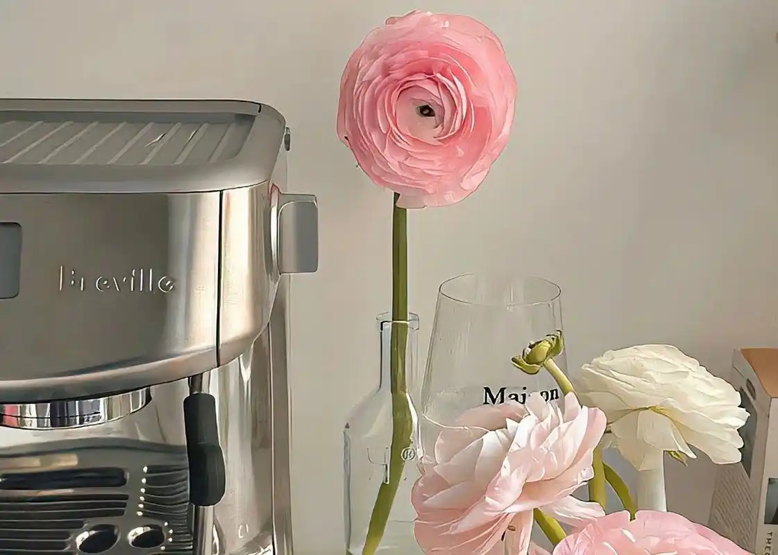 ipad壁纸 ins风 可爱 ipad壁纸