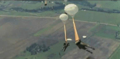 383_190gif 动态图 动图