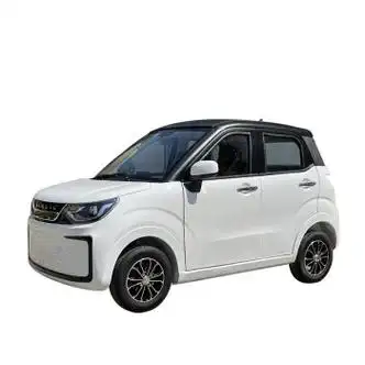 有空调的电动车 电动四轮车新能源女士汽车油电两用家用日常通勤电瓶