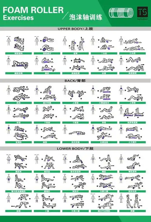 体能训练动作库(收藏)