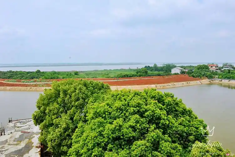 在美丽神奇的赤山岛上,飞来了一群快乐的"老麻雀"