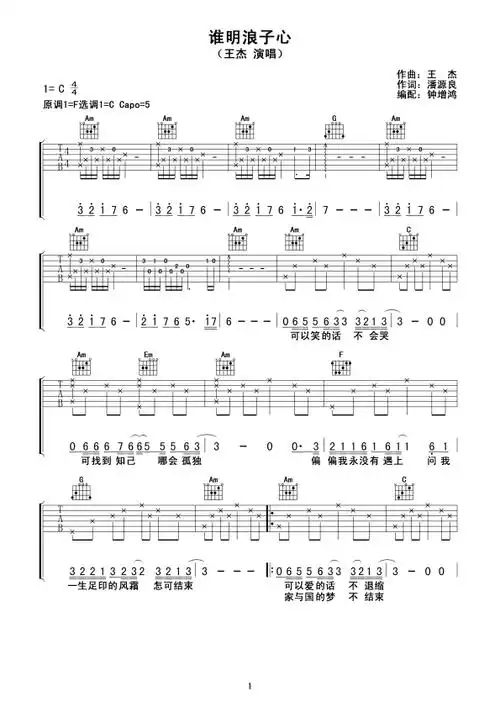 王杰歌曲《谁明浪子心》