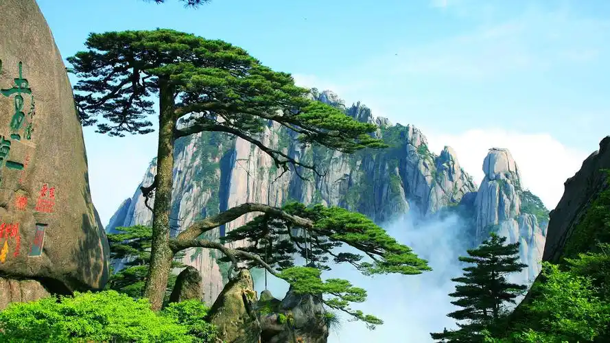 黄山迎客松美景 仙境 风景 电脑壁纸高清大图预览1920x1080_风景壁纸