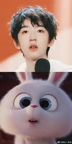 治愈兔塑贴72多图预警有彩蛋贺峻霖霖霖兔本兔