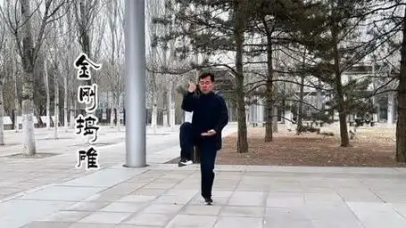 陈氏太极拳老架二路完整演练 带动作名称