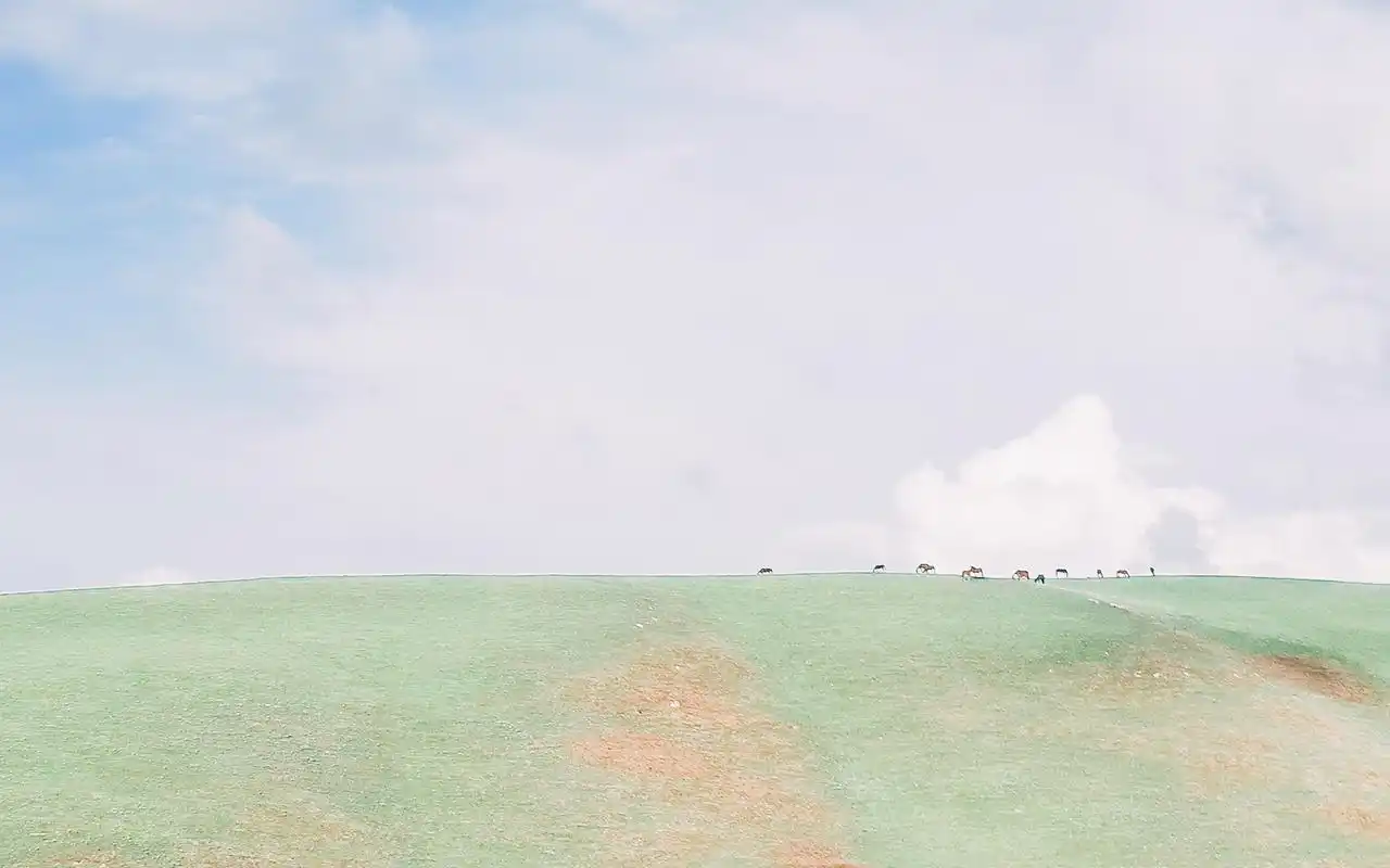 小清新草原简约唯美高清桌面壁纸