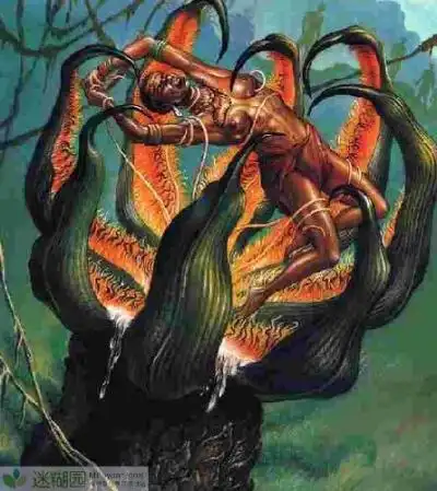 目前发现的吃人树形状像个400_449