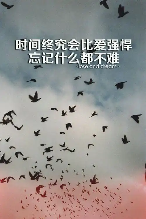 过去就过去了 - 谈天说地 - 彼爱(biib)