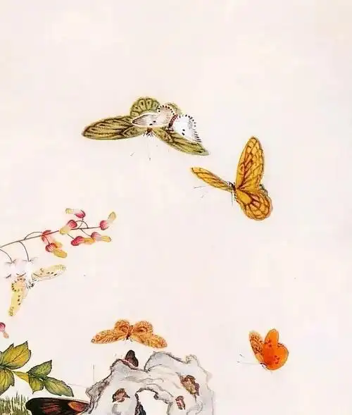 众多工笔蝴蝶的范图欣赏