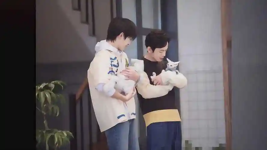 易烊千玺有多喜欢小动物看到他抱猫的姿势真的太宠溺了