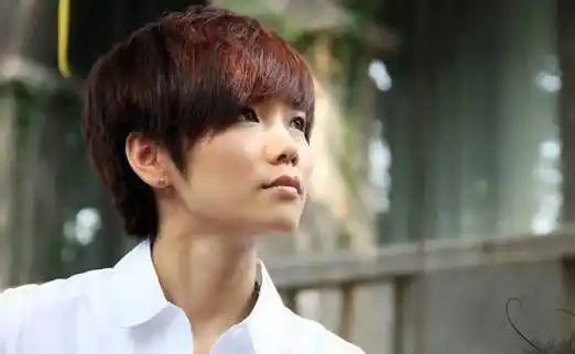 许飞,你的人设"崩了"?_尚雯婕_网友_感情