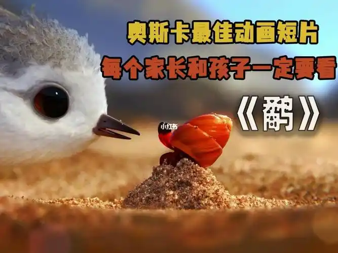 奥斯卡最佳动画鹬父母是孩子最好的老师