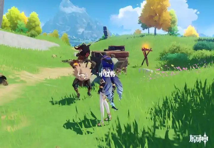 我需要荧妹突破材料的时候940599希望风神能原谅我90#原神